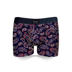 Pánske boxerky John Frank JFBUC147
