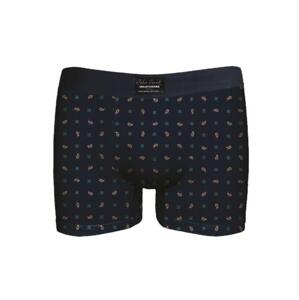 Pánske boxerky John Frank JFBUC137-SMART