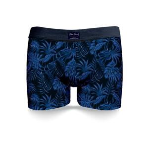 Pánske boxerky John Frank JFBUC146-LEAF
